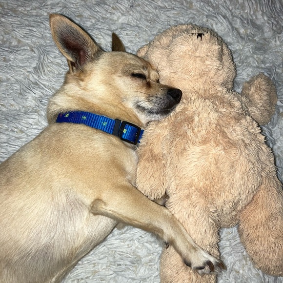 Meet your Posher, Becca - Picture 5 of 8